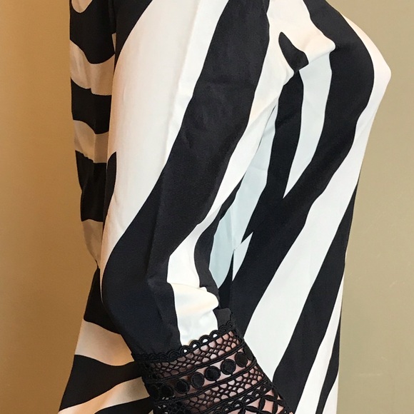 Naeem Khan Zebra Stripe Dress Exclusive - Picture 6 of 9
